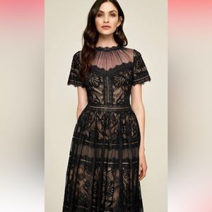 Tadashi Shoji Camilla Tea Length Dress